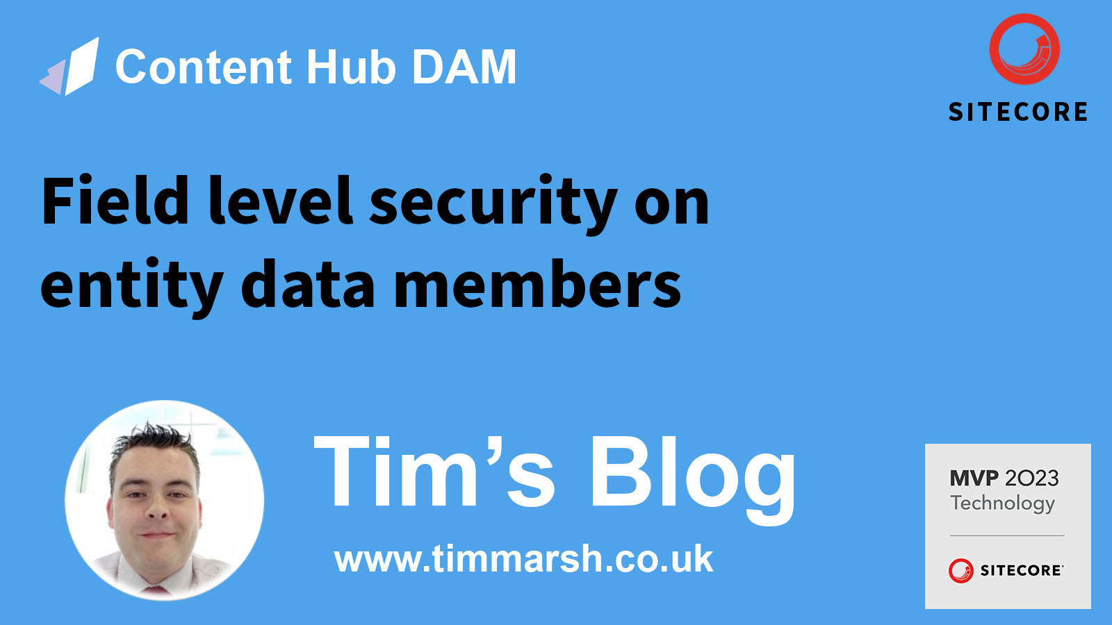 Sitecore Content Hub – Field level security on entity data members